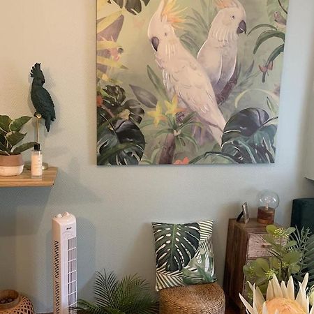 Escale Tropicale A Blois Apartment Екстериор снимка