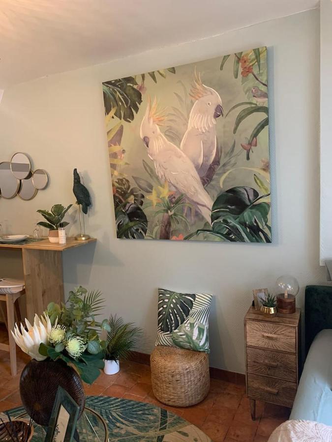 Escale Tropicale A Blois Apartment Екстериор снимка