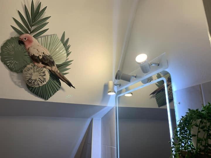 Escale Tropicale A Blois Apartment Екстериор снимка