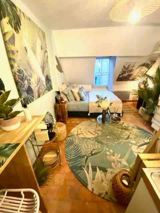 Escale Tropicale A Blois Apartment Екстериор снимка