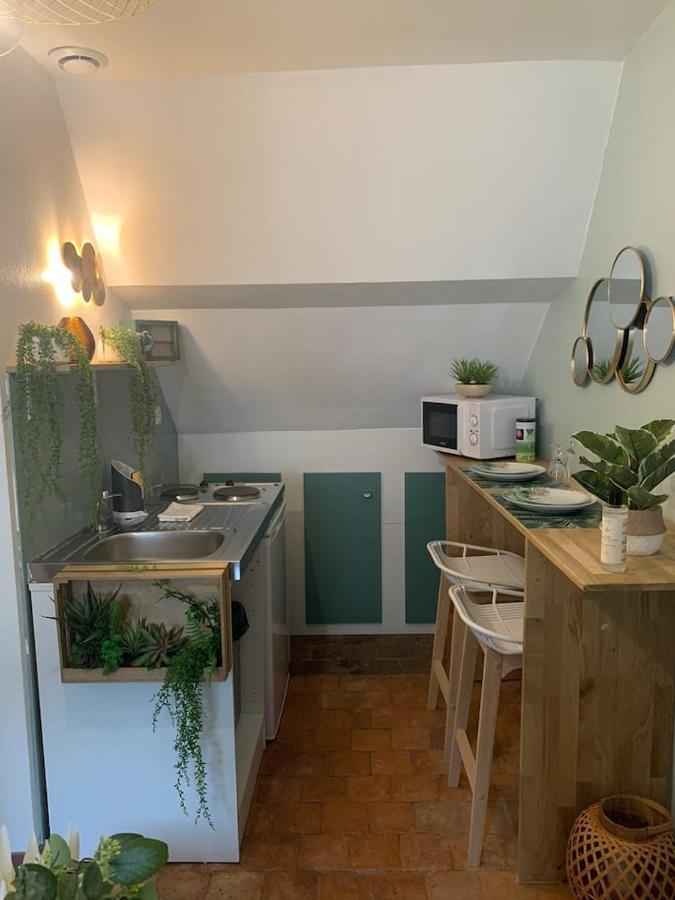 Escale Tropicale A Blois Apartment Екстериор снимка