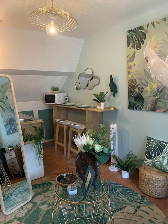 Escale Tropicale A Blois Apartment Екстериор снимка